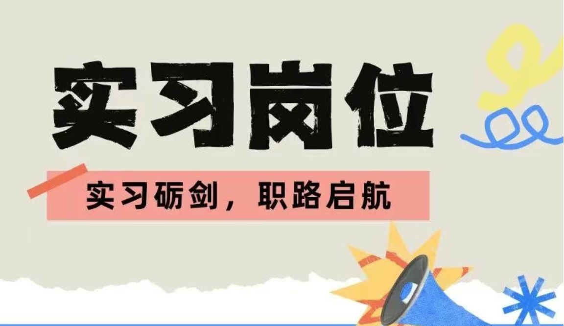 实习岗位调查